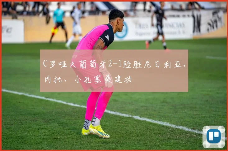 C罗哑火葡萄牙2-1险胜尼日利亚，内托、小孔塞桑建功