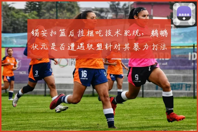 锡安扣篮后挂框吃技术犯规,鹈鹕状元是否遭遇联盟针对其暴力打法?