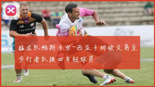 猛龙队帕斯卡尔-西亚卡姆被交易至步行者队换回年轻球员